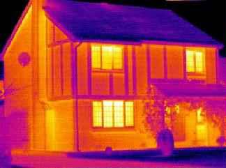 Thermal imaging identifies toxic and infectious mold locations