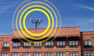 mahattan queens brooklyn bronx cellphone radiation